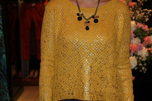 Blusa
